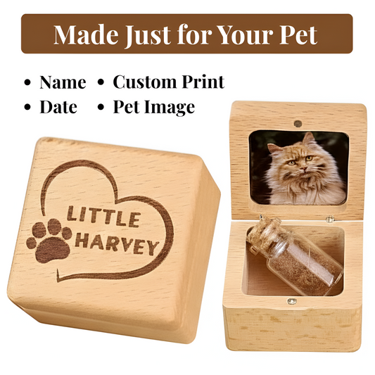 Little Box of Eternal Love